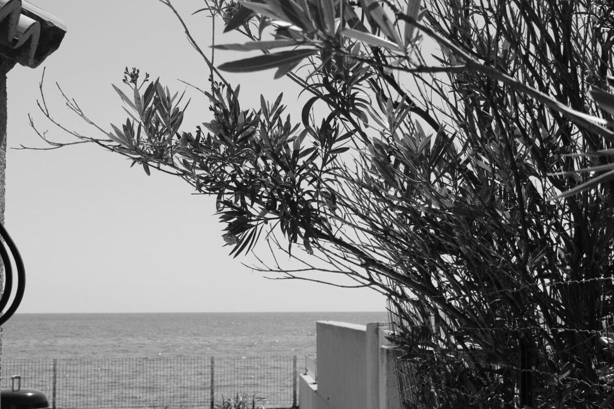 Bord de mer, pieds dans l'eau, vue panoramique Βίλα San-Nicolao Εξωτερικό φωτογραφία