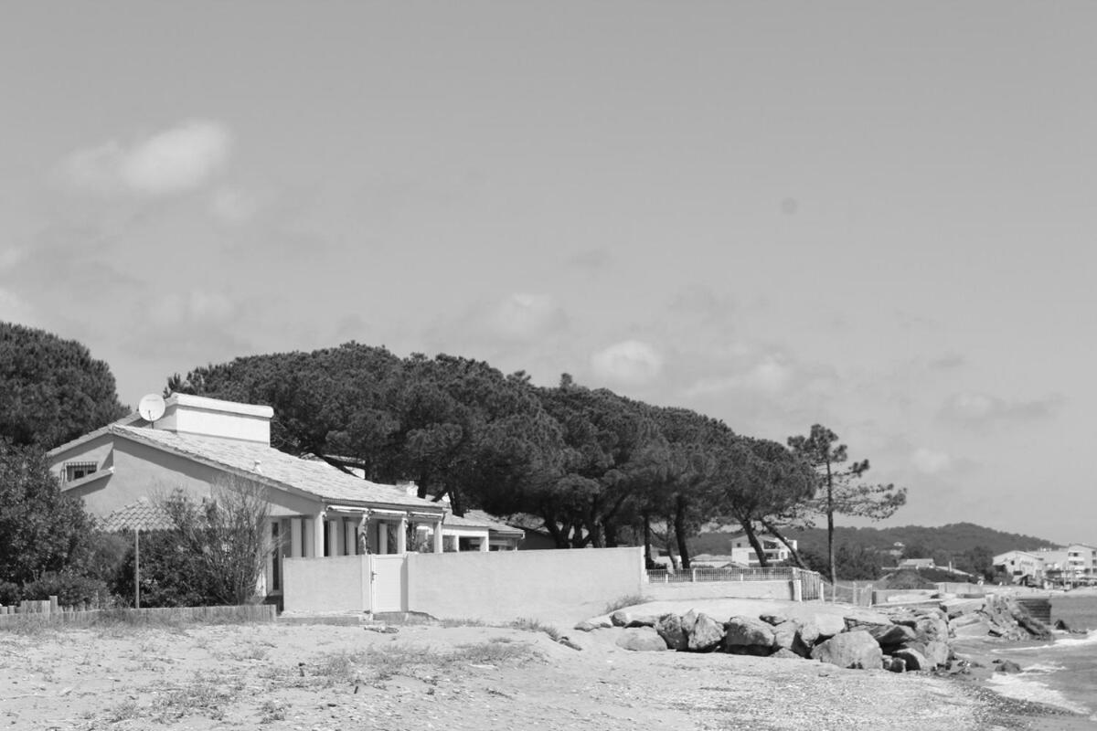 Bord de mer, pieds dans l'eau, vue panoramique Βίλα San-Nicolao Εξωτερικό φωτογραφία