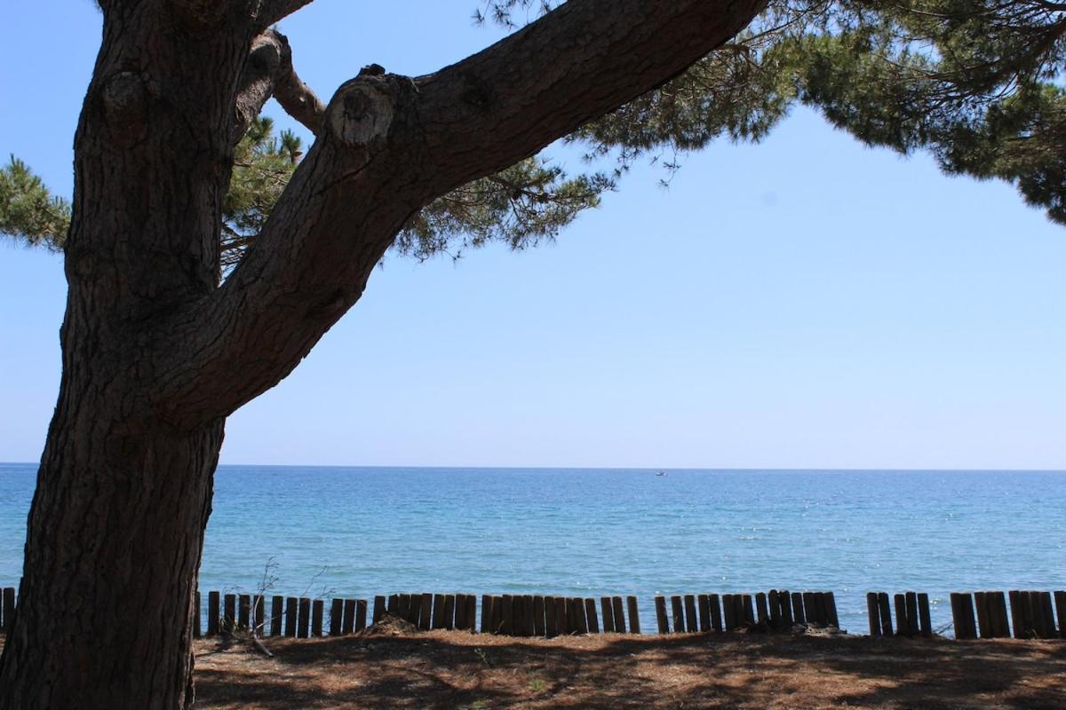 Bord de mer, pieds dans l'eau, vue panoramique Βίλα San-Nicolao Εξωτερικό φωτογραφία